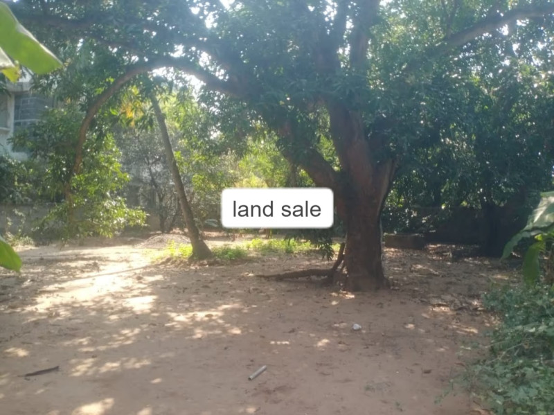 Residential Plot