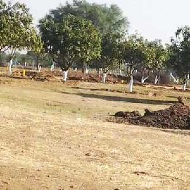 land sale