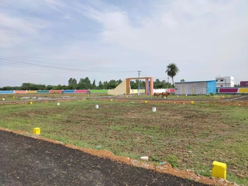 Residential Plot
