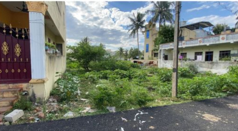 Land for sales