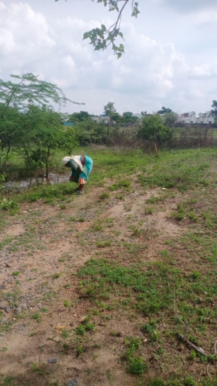 Residential Plot 3450 Sq.ft. for Sale in Narasimhanaickenpalayam, Coimbatore