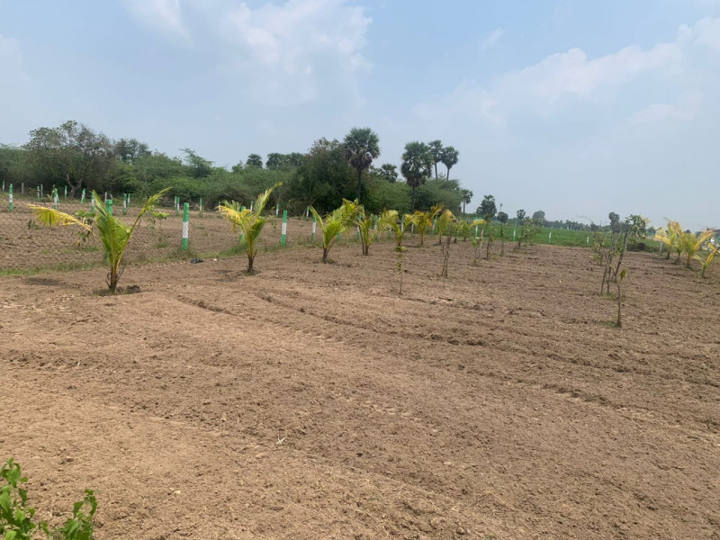 land sale