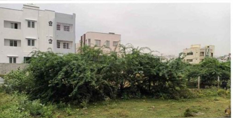 Land for sales