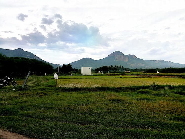 Single Property Image