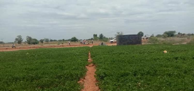 Agricultural Land