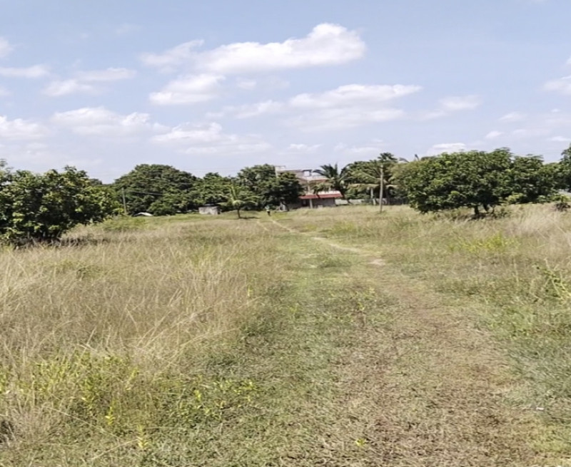 Plot sale