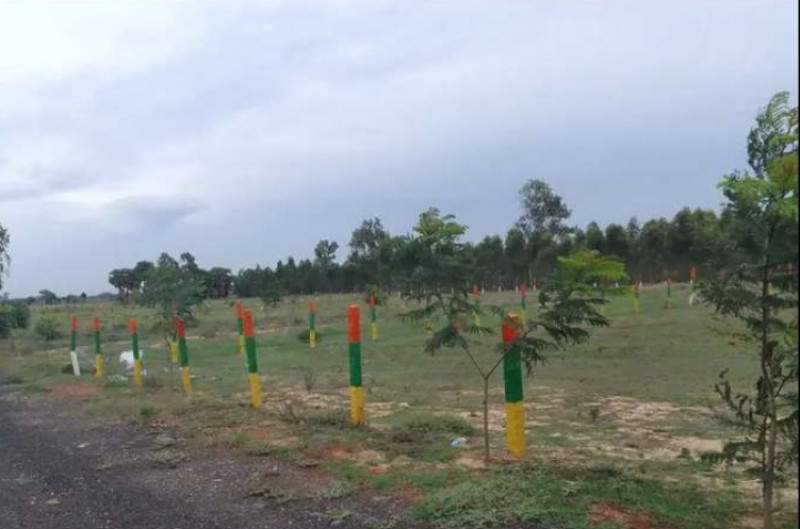 Land for sales