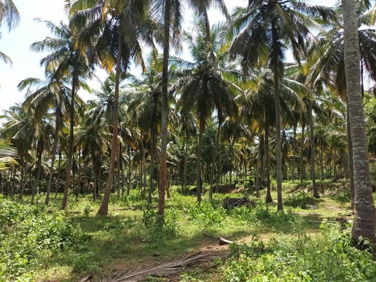 Single Property Image