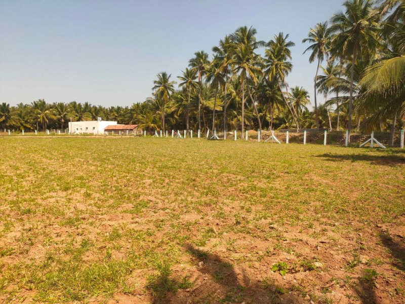 land sale