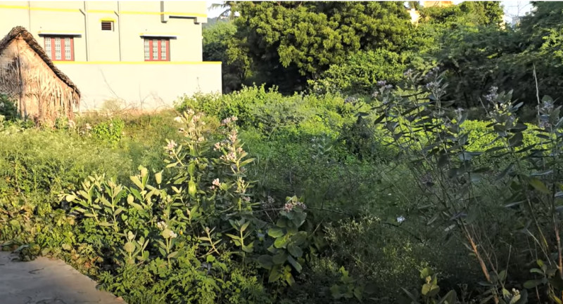 Land for sales