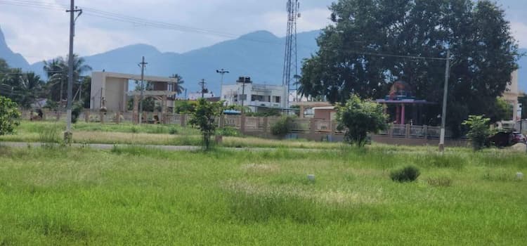 Single Property Image