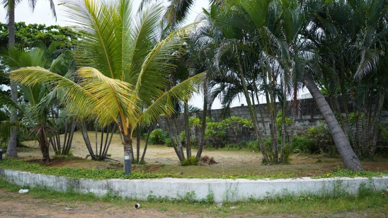 Residential and Investment property for sale in Chennai .