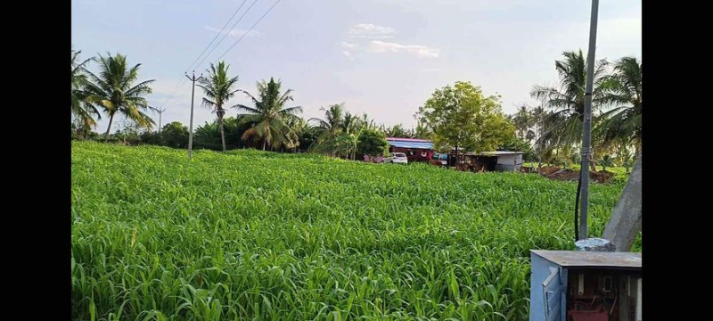 agri land for sale