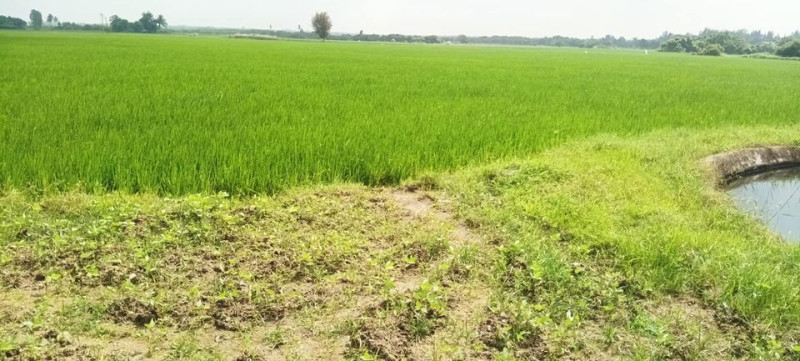 land for sale in cheyyur