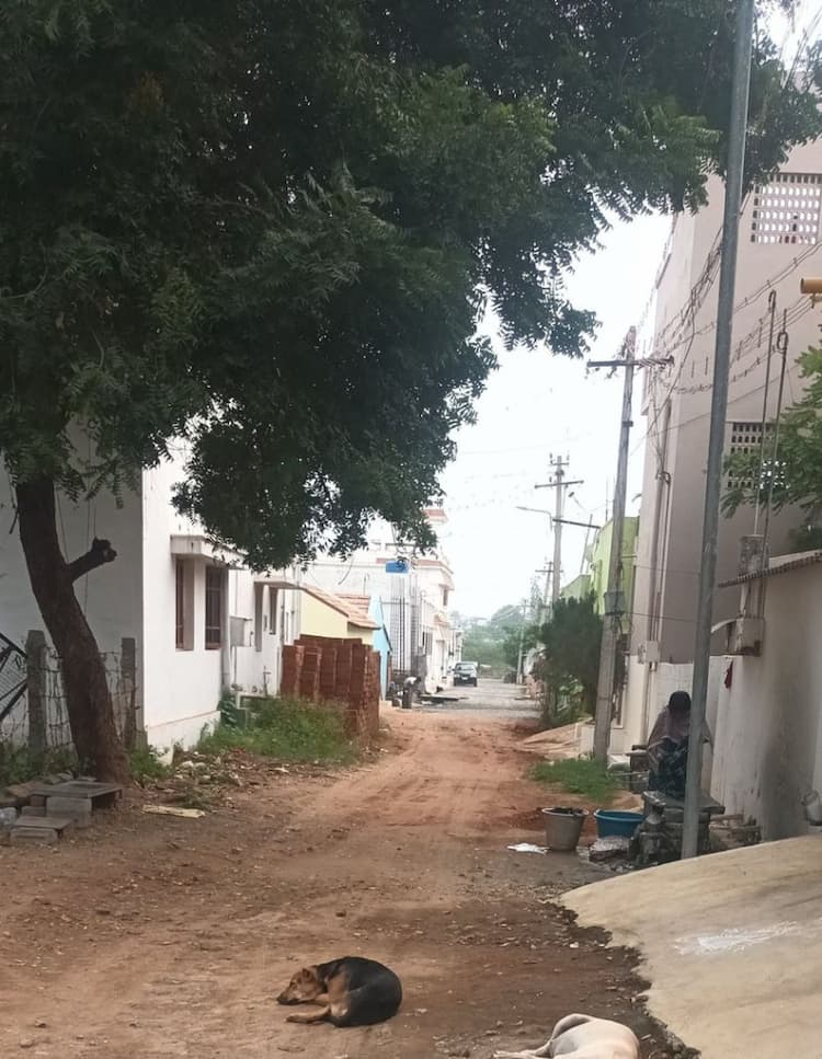 5.73 Cent Plot for Sale in P N Road
