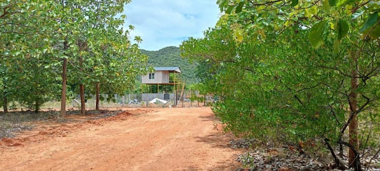 Single Property Image