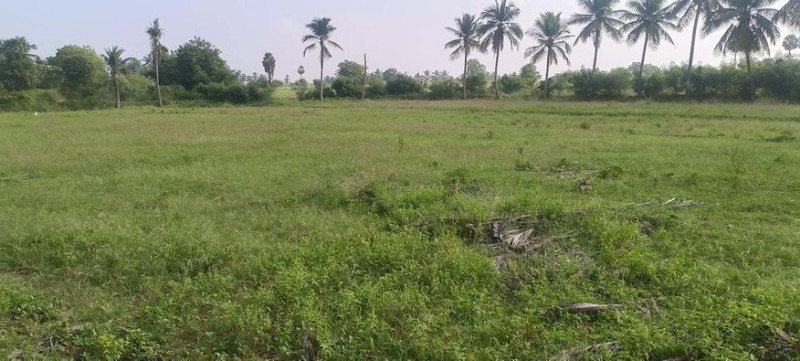 agri land for sale