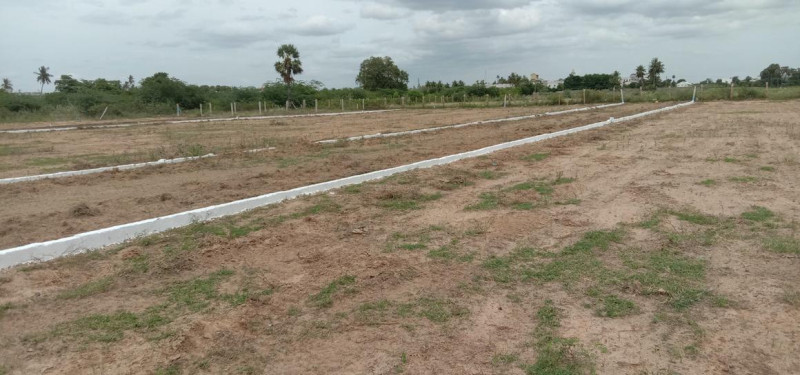 Residential plot