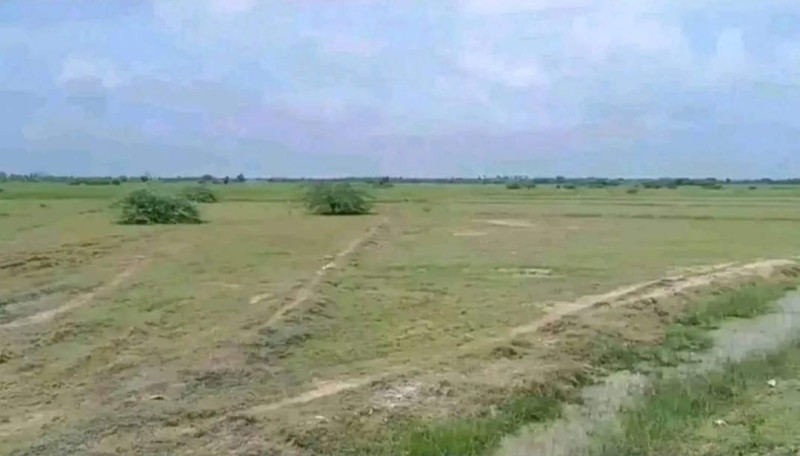 Plot sale