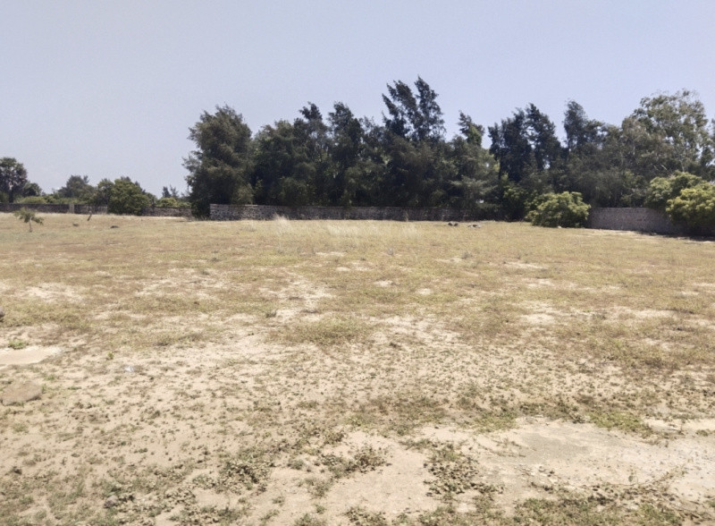 Plot sale