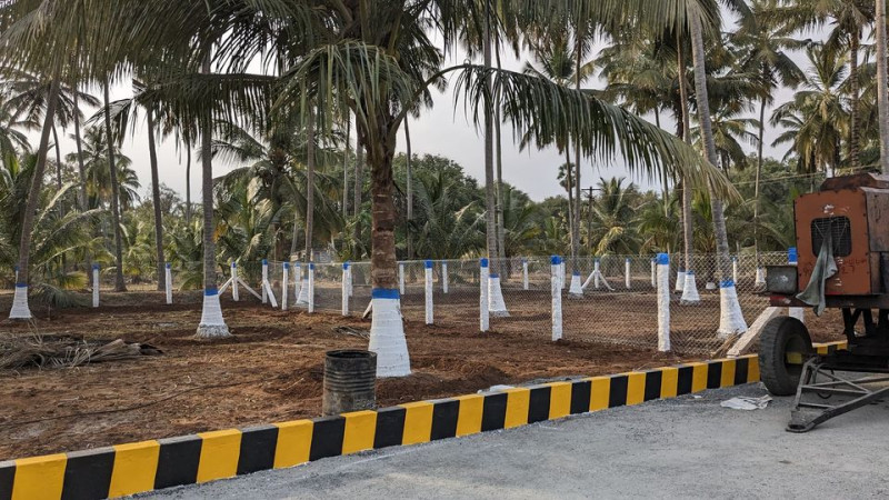 farm land for sale