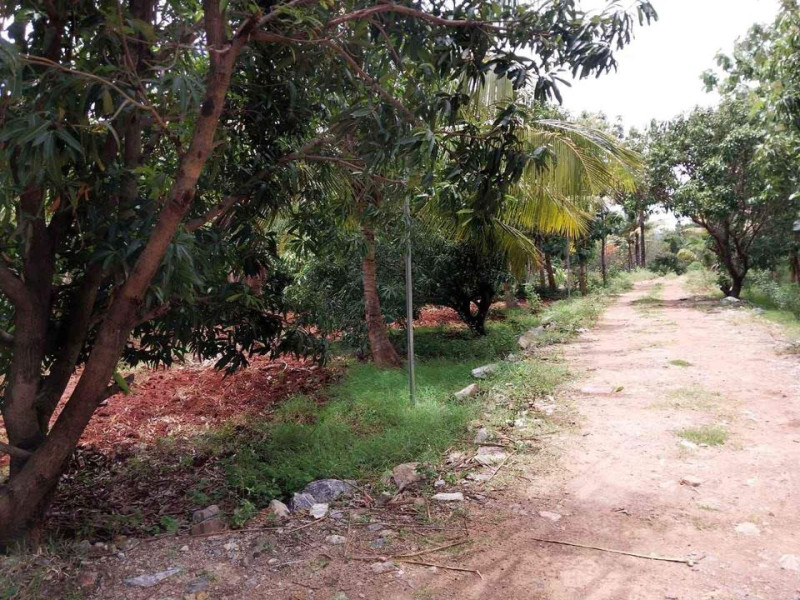 Farm land