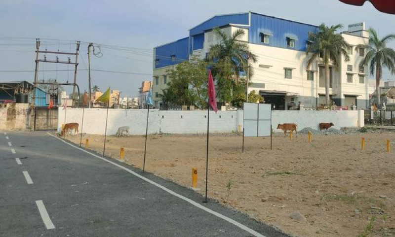 Plot sale