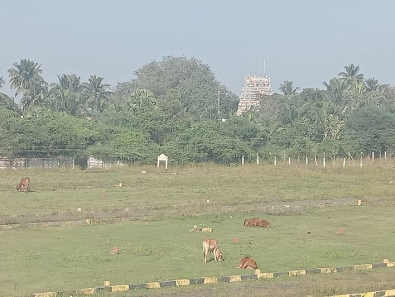 Plot sale