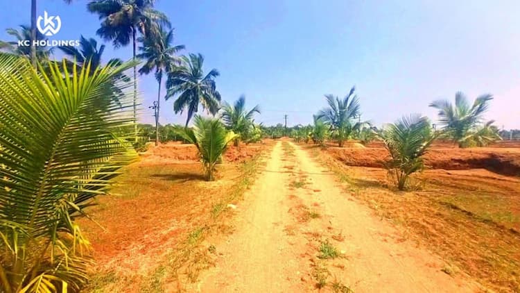 farm land for sale