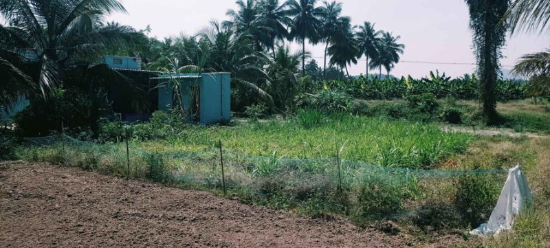 farm land for sale