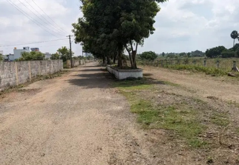 150000 sqft Plot