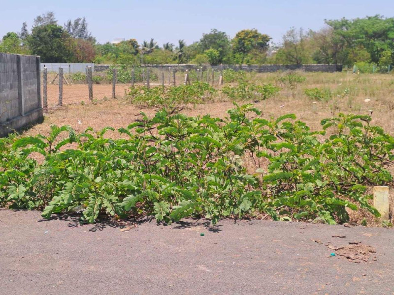 Land for sales