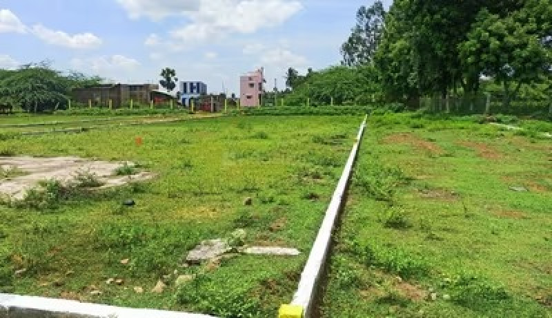 Residential Plot