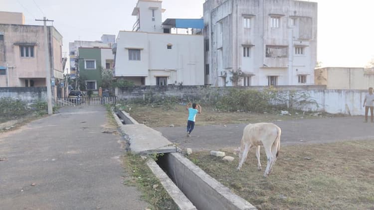 Single Property Image