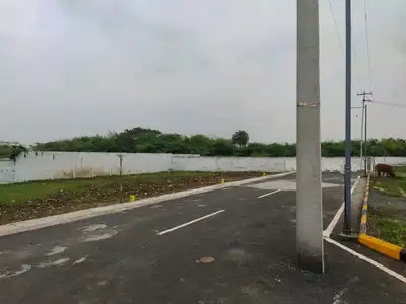Residential Plot