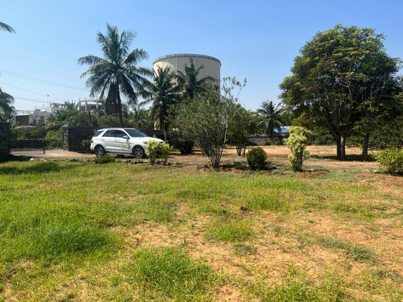 Residential Plot