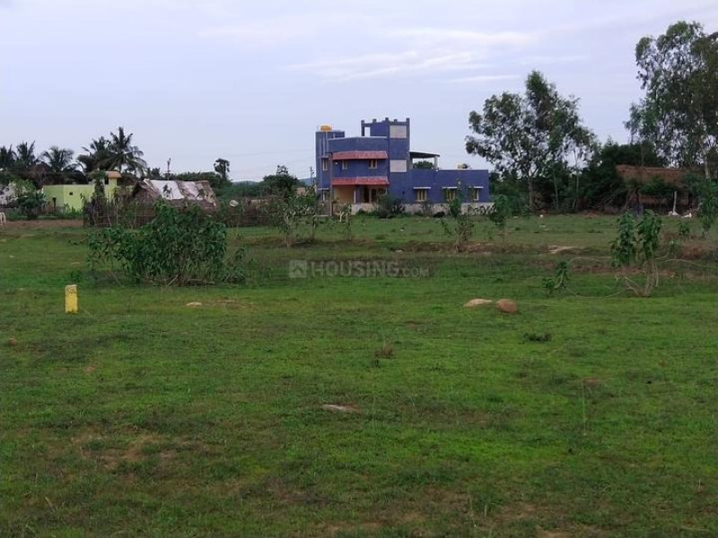 Residential Plot
