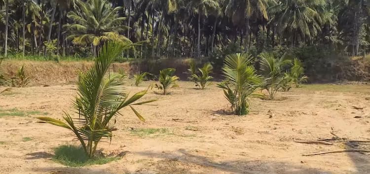 1.20 Acre Land for Sale