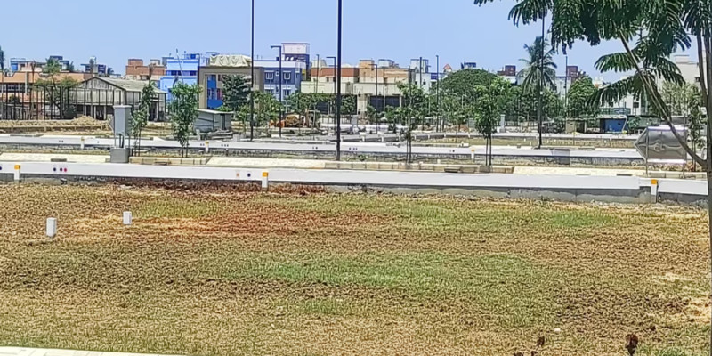 Land for sales