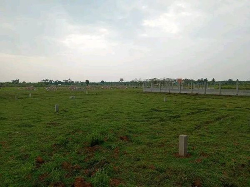 Plot sale