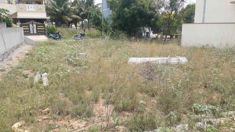 site for sale