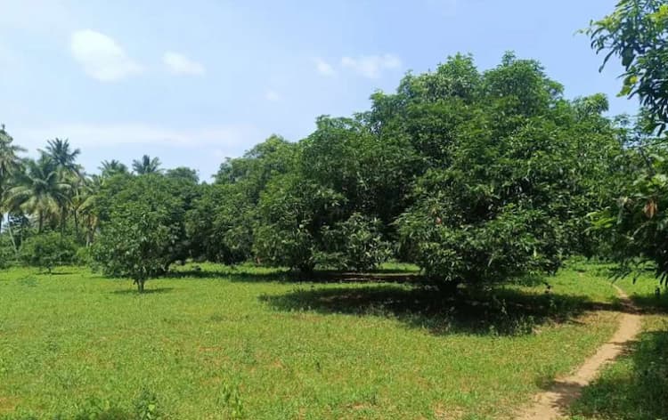 Single Property Image