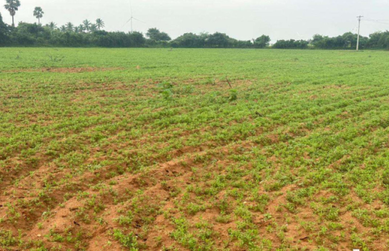 agri land for sale