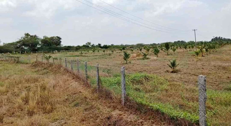 20 Acre Land for Sale