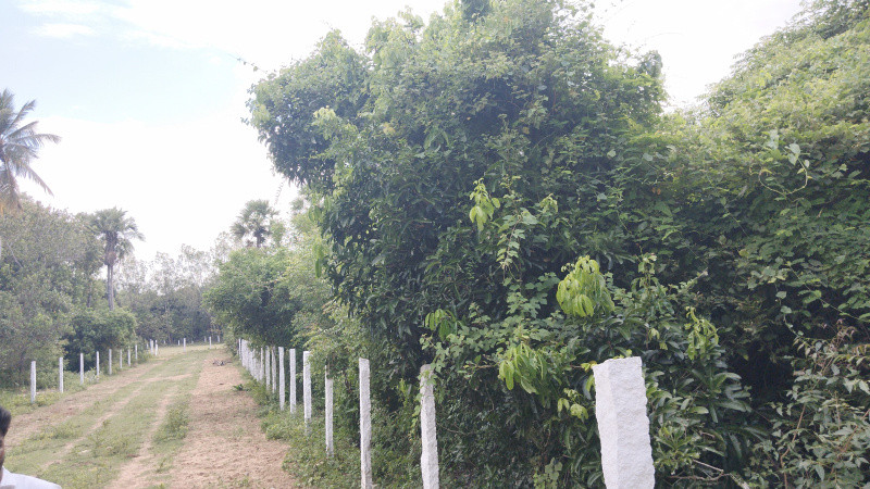 Plot sale