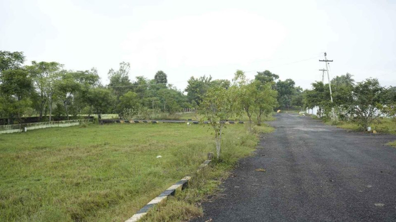 plots for sale