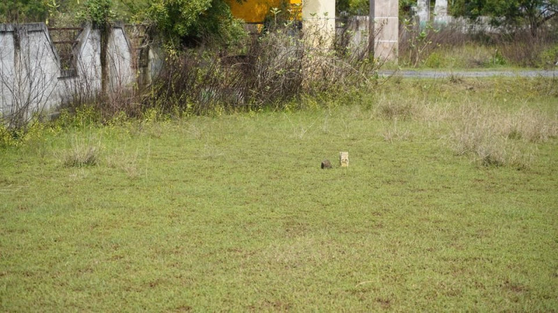 Government Office Nearby Best Investment Plot For Sale