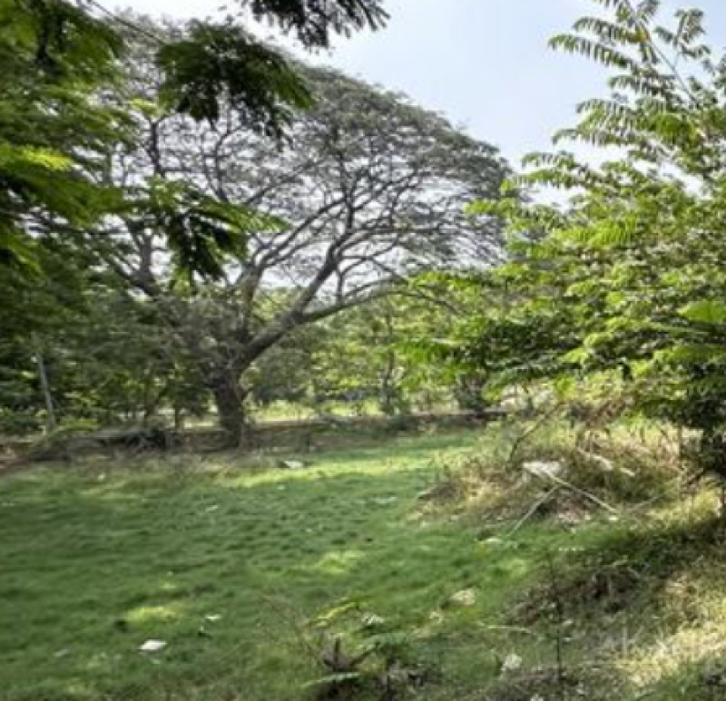 Land for sales
