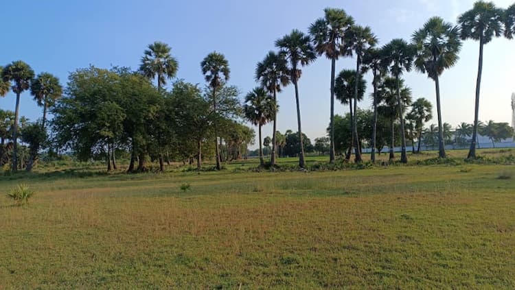 Gst (NH) near chengalpattu 40acres punjai land for sale.