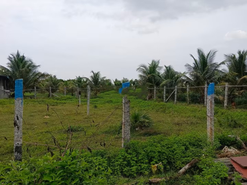plot for sale